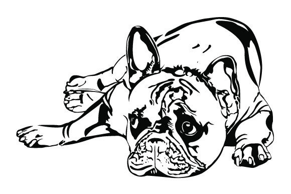 French Bulldog Vector, SVG DXF